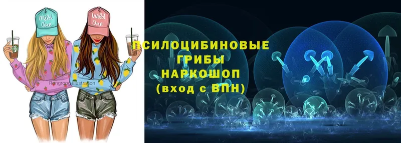 магазин продажи наркотиков  Духовщина  Псилоцибиновые грибы Magic Shrooms 